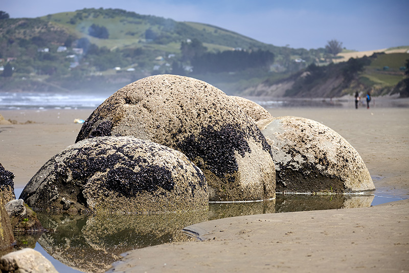 Moeraki Boulders