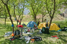 Лагерь в абрикосовом саду